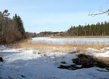 Sinialliku matkarada