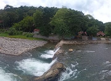 indonesia/bukit-lawang/landmark/trekking-orangutan-sumatra