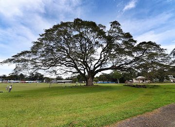 philippines/calabarzon/landmark/fertility-tree