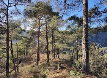 cyprus/paphos-forest/landmark/hiking-route-chorteri-nature-trail