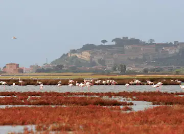 Riserva Naturale Diaccia Botrona - Maremma