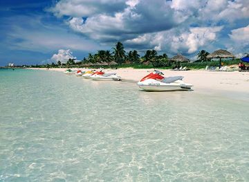 the-bahamas/lucaya/landmark/bahamas-adventures-freeport