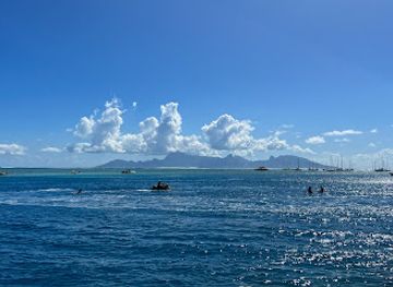french-polynesia/tahiti/punaauia/landmark/parc-vaipoopoo