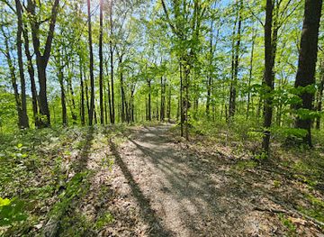indiana/hoosier-national-forest/landmark/mogan-ridge-west-trailhead