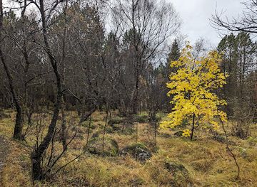 iceland/kopavogur/landmark/oskjuhlio