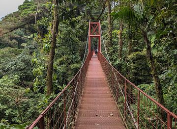 Monteverde Cloud Forest Biological Preserve