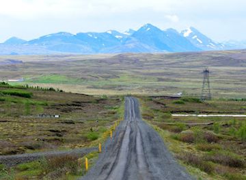 iceland/hveragerði/landmark/rosakaffi