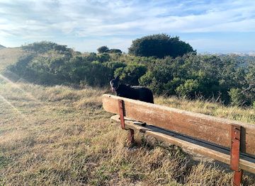 california/san-francisco-peninsula/landmark/old-nike-missile-radar-site