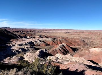 arizona/petrified-forest-national-park/landmark/petrified-forest-national-wilderness-area