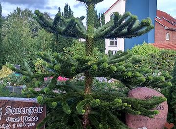 germany/north-frisia/landmark/friedhof-bredstedt