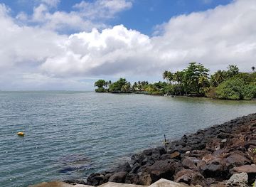samoa/upolu-island/landmark/piula-cave-pool