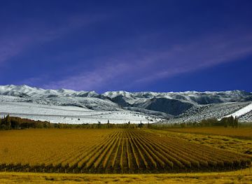 argentina/cuyo/landmark/trout-and-wine-tours