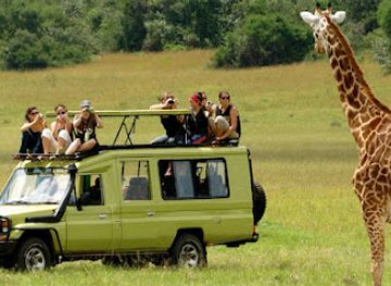 uganda/central-region/landmark/uganda-adventures