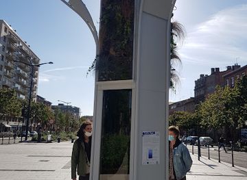 france/toulouse/landmark/l-arbre-algal