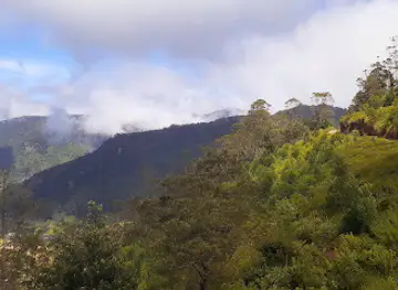Wonderful Ohiya