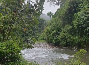 indonesia/sumatra/landmark/sumatra-jungle-life