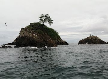 colombia/insular-region/landmark/natural-gorgona-national-park