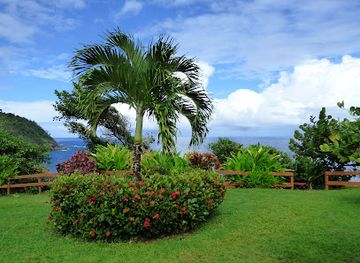 dominica/dominica-botanic-gardens/landmark/kalinago-barana-aute