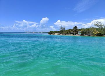 belize/caye-caulker/landmark/tarpon-feeding-dock