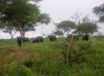 uganda/kidepo-valley-national-park/landmark/kidepo-valley-national-park-office