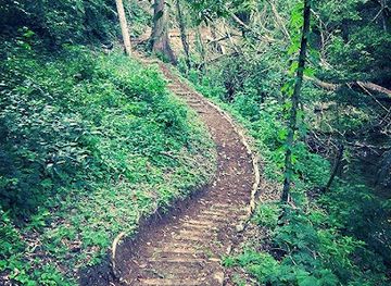 belize/mountain-pine-ridge/landmark/belize-raptor-center