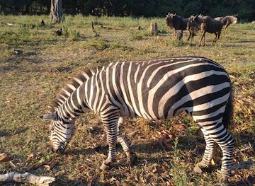 tanzania/tabora/landmark/tabora-city-zoo