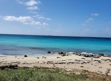 the-bahamas/bimini/landmark/big-mike-s-fresh-conch-salad