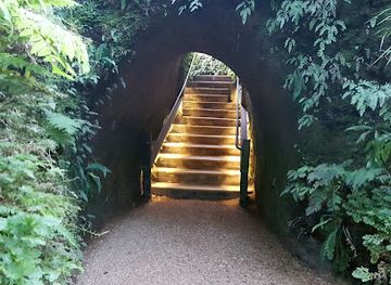 new-zealand/new-plymouth/landmark/pukekura-park-fernery-and-display-houses