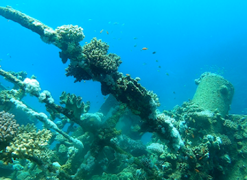 egypt/marsa-alam/landmark/dive-in-marsa