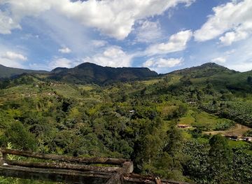 colombia/andean-region/landmark/reserva-natural-jardin-de-rocas-avistamiento-del-gallito-de-roca