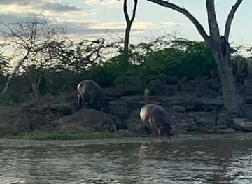 kenya/lake-baringo/landmark/baringo-tours-boats-and-excursions