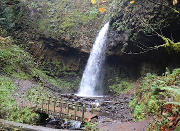 oregon/clackamas-county/landmark/upper-latourell-falls