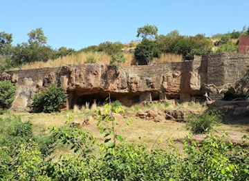mali/mopti/landmark/zoo-national-du-mali