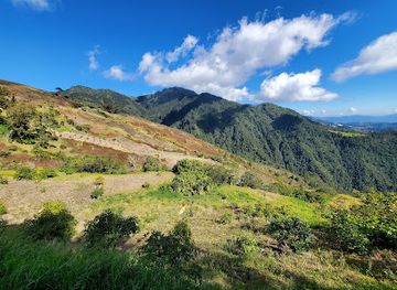 dominican-republic/cordillera-central/landmark/valle-nuevo-national-park