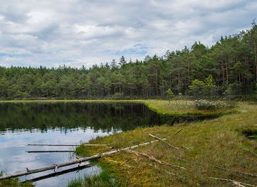 poland/bory-tucholskie/landmark/rezerwat-przyrody-jeziorka-kozie