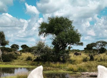 zimbabwe/hwange/landmark/hwange-horseback-safaris