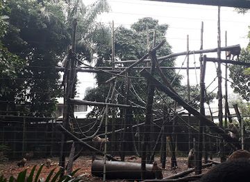 nigeria/calabar/landmark/pandrillus-nigeriadrill-ranch