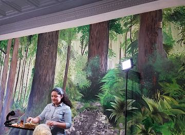 minnesota/mankato/landmark/kato-escape