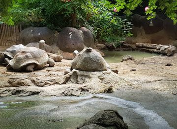 netherlands/rijnmond/landmark/rotterdam-zoo