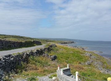 ireland/aran-islands/landmark/seal-colony-viewpoint