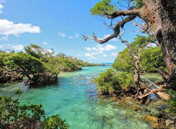 vanuatu/shefa-province/landmark/blue-lagoon