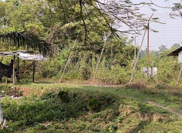 bangladesh/southern-bengal/landmark/india-bangladesh-friendship-border-attraction