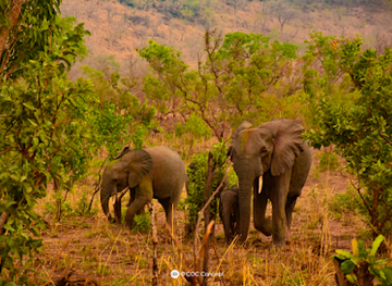 benin/pendjari-national-park/landmark/zone-cynegetique-de-la-pendjari