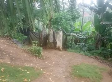 liberia/maryland-county/landmark/maryland-liberia