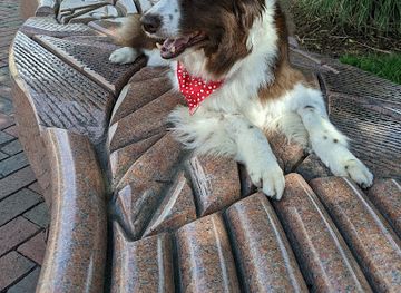 south-carolina/spartanburg/landmark/spartanburg-historic-district