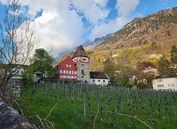liechtenstein/sareis/landmark/red-house-vaduz