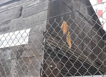 connecticut/bridgeport/landmark/mary-and-eliza-freeman-houses