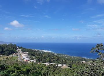 barbados/animal-flower-cave/landmark/coco-hill-forest