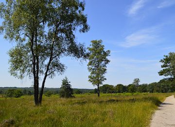 netherlands/gelderland/landmark/schenkenshul