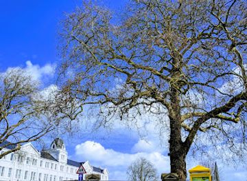 jersey/saint-john/landmark/springfield-stadium